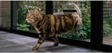 Transcat cat door sale